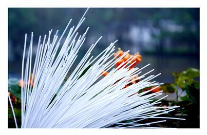 老哥俱乐部-老哥必备的交流社区