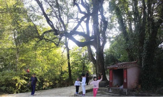 老哥俱乐部-老哥必备的交流社区